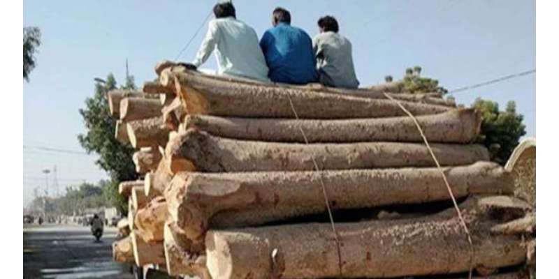 پنجاب میں درختوں کی کٹائی اور جانوروں کے غیرقانونی شکار پر سزاؤں جرمانوں ..