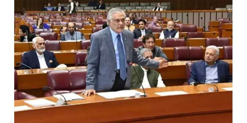 امن معاہدے کیلئے امریکی صدر نے جو 20 نکات دیے وہ ہمارے نہیں، ان میں ترامیم ..