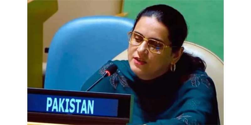 پاکستان کا خواتین کو درپیش مظالم کو جاگر کرتے ہوئے عالمی برادری سے ..