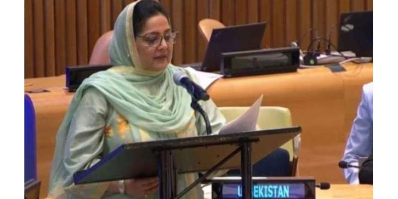 مصنوعی ذہانت کیلئے جامع عالمی فریم ورک کی تشکیل ناگزیر ہوگئی، انوشہ ..