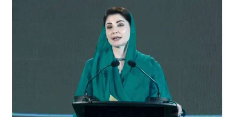 پنجاب میں اب کوئی سیاسی تعیناتی نہیں ہوتی، اقرباپروری اور سفارش کا ..