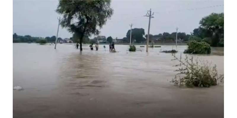 تاریخ کا سب سے بڑا سیلاب؛ پنجاب میں متاثرین کی تعداد 20 لاکھ تک جا پہنچی
