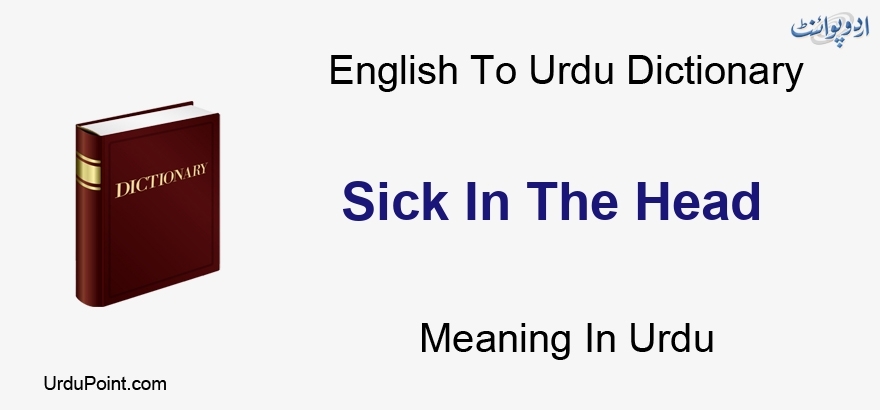 sick meaning in english