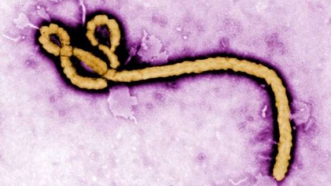 Ebola Virus Kiya Hai