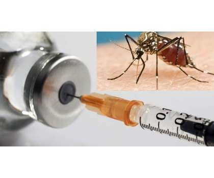 Malaria Se Cancer Ka Elaaj - Article No. 808