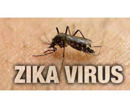 Zika Virus - Article No. 900