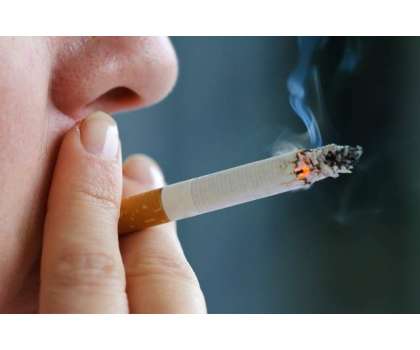 Cigarette Ragon Main Phailta Zehar - Article No. 1030