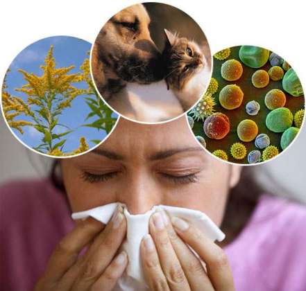 Allergy Aik Aam Bimari Hai