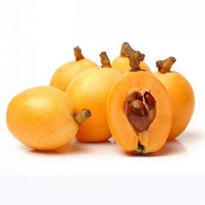 Naranji Loquat