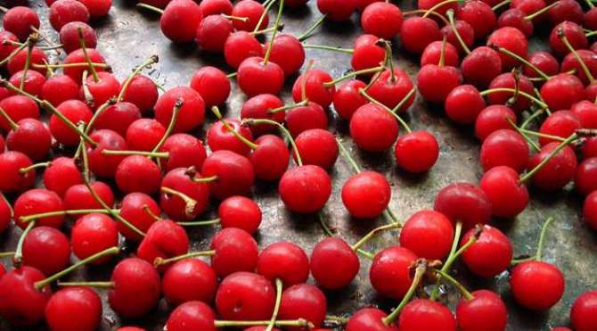 Cherry Sehat Bakhash Phal Hai