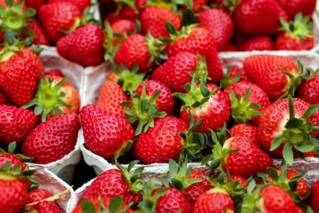 Strawberry Aik Sehat Bakhash Phal