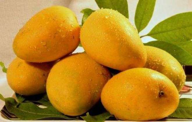 Mango Infection Se Mehfooz Rakhe !