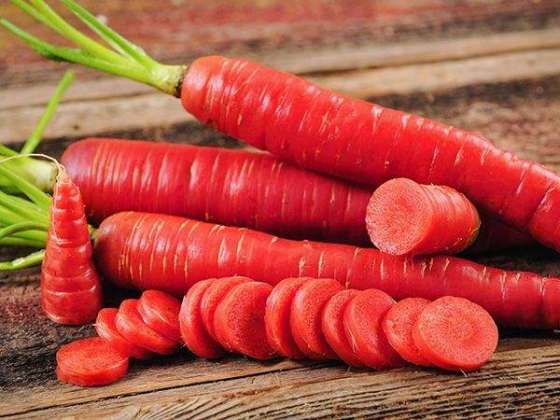 Carrot Cancer Main Mufeed Hai