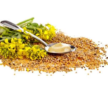 Mustard Seeds - Article No. 2293