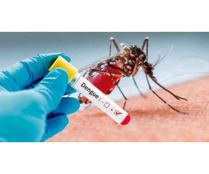 Dengue Virus Ke Hamle - Article No. 2330