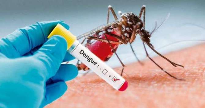 Dengue Virus Ke Hamle
