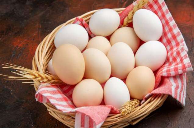 Egg - Quwat Mudafiat Ka Zamin