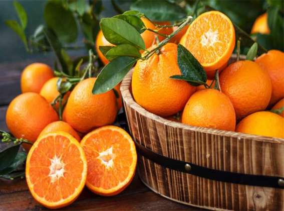 Orange Khana Pasand Hain? To Phir Jaan Lein