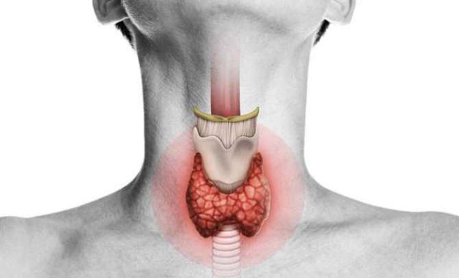 Thyroid Gland - Afaal Durust Na Hoon To Mutadid Amraz Ka Sabab Ban Sakta Hai