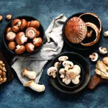 Mushroom Zehni Sehat O Tandrusti Ka Naya Raaz