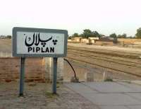 Piplan