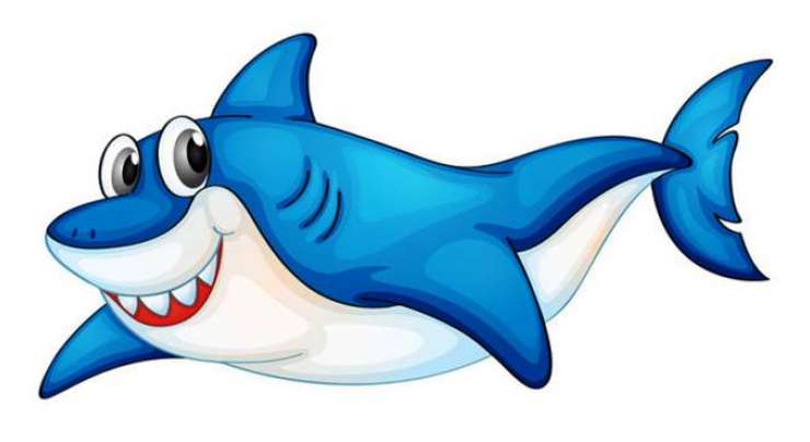 Nanhi Shark