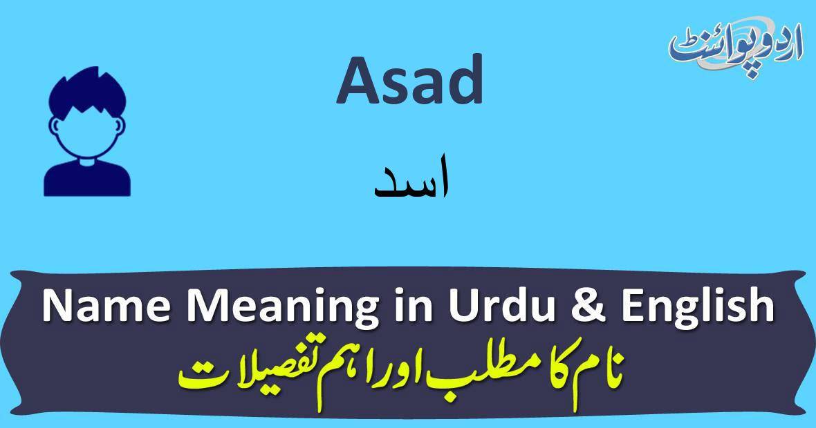Asad Name Meaning In Urdu Ø§Ø³Ø¯ Asad Muslim Boy Name