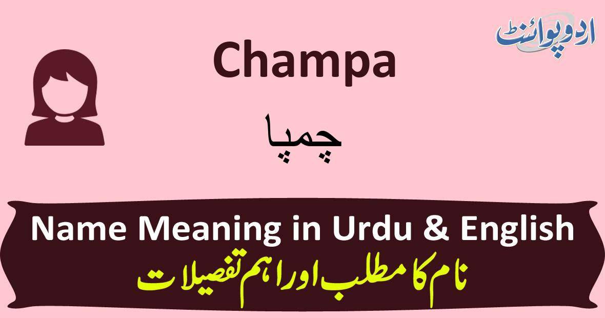 Champa Name Meaning In Urdu چمپا