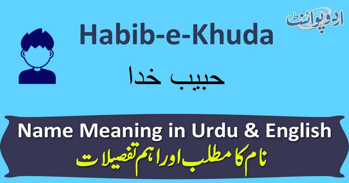 Habib Meaning In Urdu