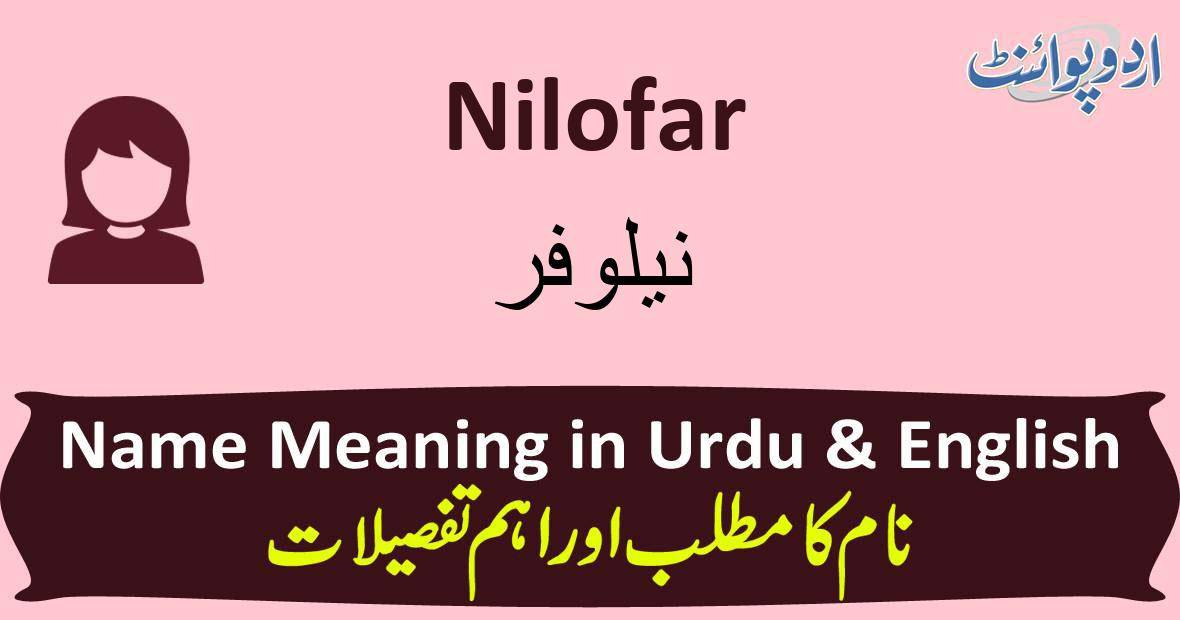 nilofar-name-meaning-in-urdu-nilofar-muslim-girl-name