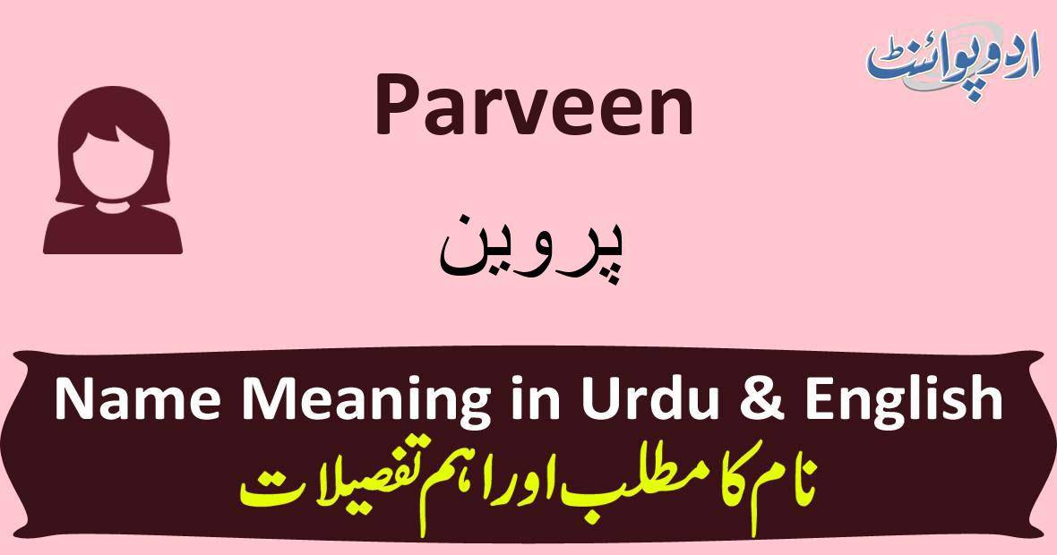 Parveen Name Meaning in Urdu - پروین - Parveen Muslim Girl Name