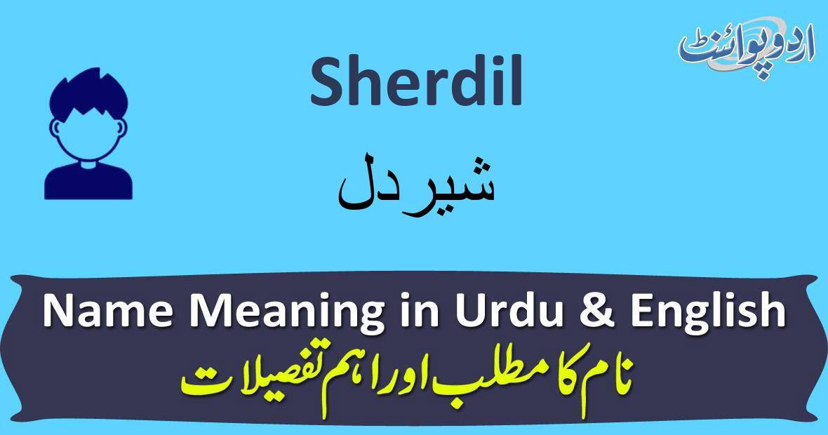 Image result for sherdil meaning in urdu