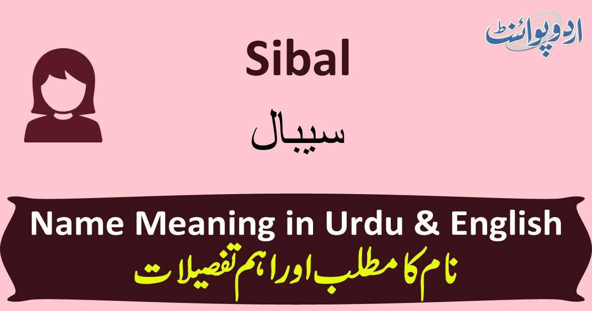 modal-verbs-in-bengali-english-grammar