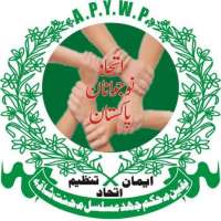 All Pakistan Youth Working Party
