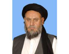 Molana Ameer Zaman
