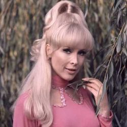 Barbara Eden, A Famous United States Actress