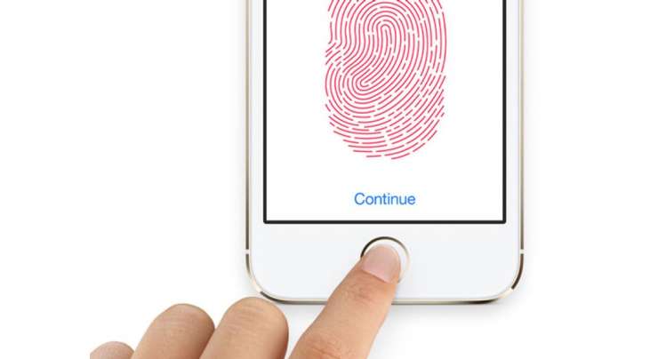IPhone 6 And Future IPads Will Get Touch ID