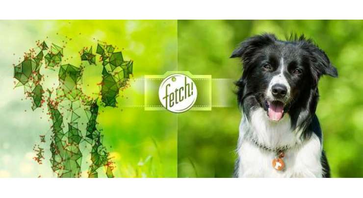 MICROSOFT Fetch MATCHES HUMAN FACES TO DOGS