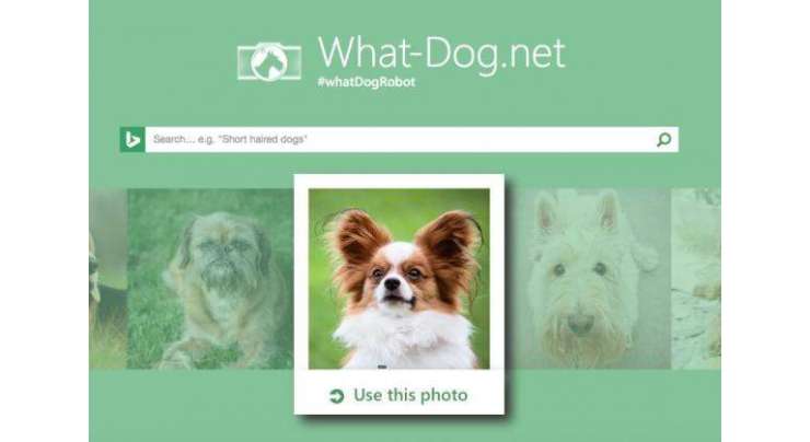 MICROSOFT fetch MATCHES HUMAN FACES TO DOGS