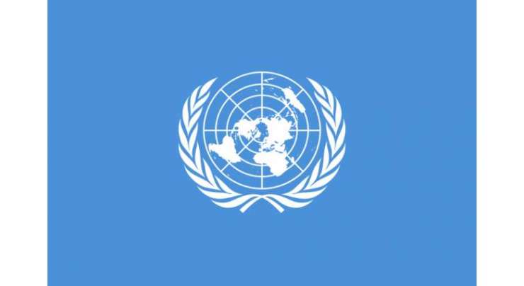 UN appoints Professor Atta Ur Rahman head of Science  Technology and Innovation committee