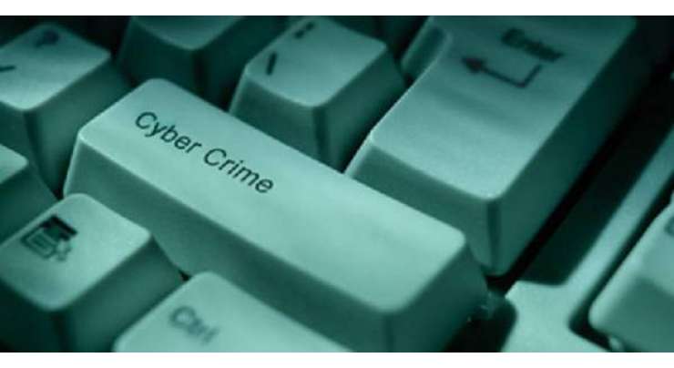 Cyber Crimes And Their Punishments