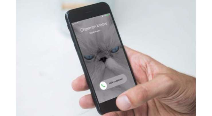 Encrypted Messaging App Signal Gets Support For Video Calls