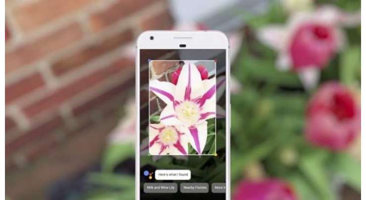 Google Lens Is Now Available On Assistant