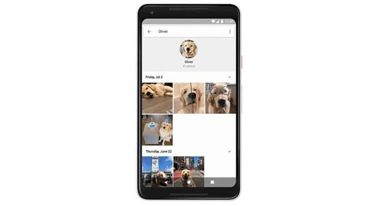 Google Photos' facial recognition feature now works for pets as well