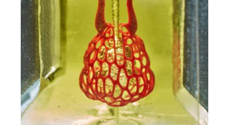 Bioengineers 3D Print Complex Vascular Networks