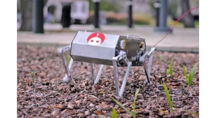 Stanford Students' Robot Dog Does Backflips For (relatively) Cheap