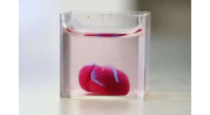'First' 3D Print Of Heart With Human Tissue, Vessels Unveiled