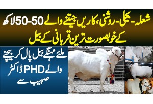 Rawalpindi Me 50/50 Lakh Ke Qurbani Wale Janwar Sale Karne Wala Doctor Viral
