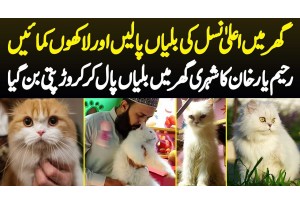 Ghar Ki Cats Palain Aur Lakhon Kamain - Rahim Yar Khan Ka Shehri Biliyan Pal Kar Crorepati Ban Gaya