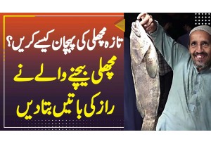 Fresh Fish Ki Pehchan Kaise Kare? Fish Seller Ne Raaz Ki Baatein Bata Di